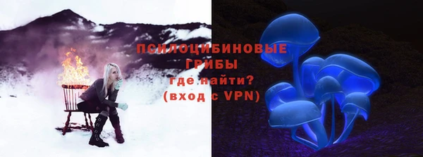 шишки Абдулино