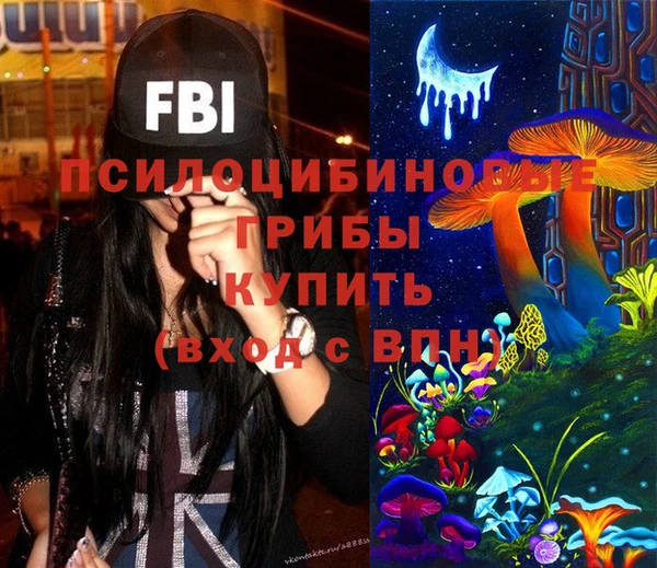 шишки Абдулино