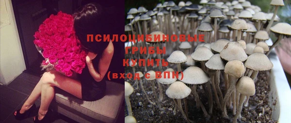 шишки Абдулино