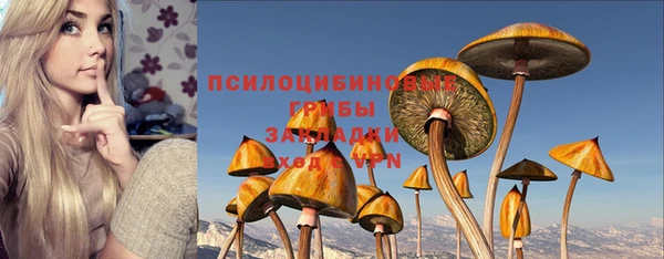 мет Абинск