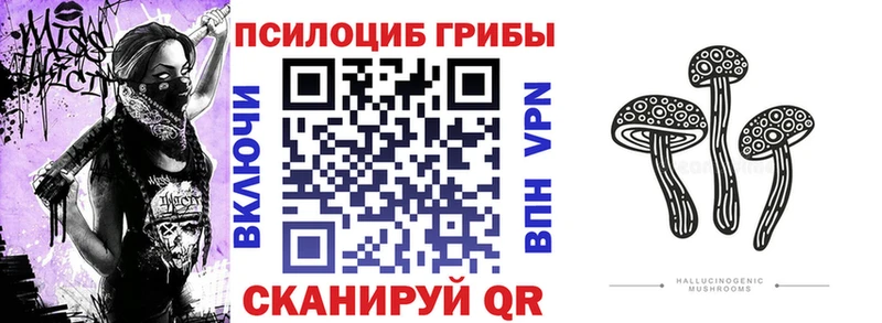 купить наркоту  Каменногорск  Галлюциногенные грибы MAGIC MUSHROOMS 